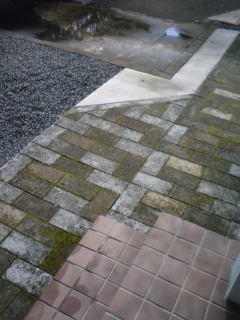 ͂