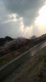 ӂ2