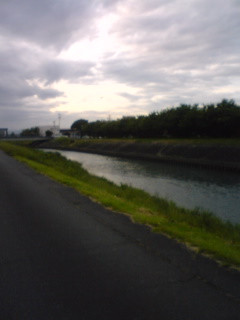 AI