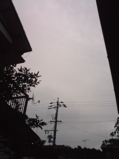 (untitled)